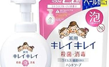 【780円】キレイキレイ 薬用 泡ハンドソープ 本体大型ポンプ500ml+詰め替え450ml 3種