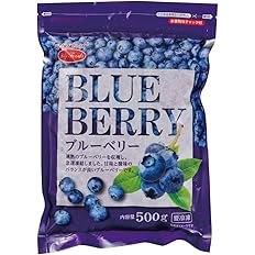 ライフフーズ 冷凍 業務用 ブルーベリー 500g