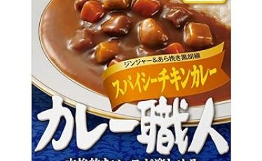 グリコ カレー職人 スパイシーチキンカレー 辛口 170g×10個