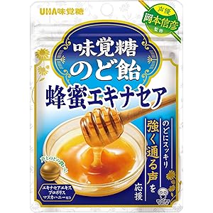 味覚糖 のど飴 蜂蜜エキナセア 10袋