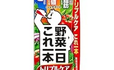 カゴメ 野菜一日これ一本 トリプルケア 200ml×24本