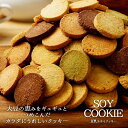 【先着100名様限定】ビー・ドット・ラボ 楽天市場店で2時間限定50％OFFクーポンが配布中