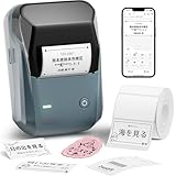 【1,981円OFF！】NIIMBOT B1 － 自動識別機能付き感熱式ラベルライターが1,999円送料無料