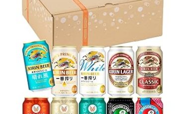 【3,498円！】SPRING VALLEY(スプリングバレー) キリン ビール クラフトビール350ml×20本