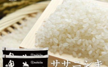 【5,489円】令和7年産 宮城県産 ササニシキ 10kg 白米