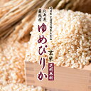 【50%OFF】明治屋 北海道の野菜＆食品 楽天市場店 先着100名様限定 2時間限定50％OFFクーポン