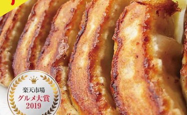 【1,999円】黒餃子48個＋本餃子48個セット