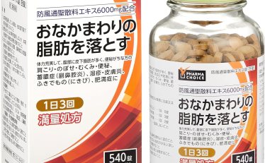 【2,871円】肥満症に防風通聖散料エキス錠「至聖」540錠