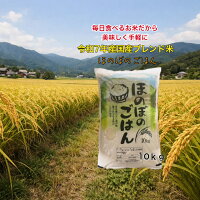 【新規オープン記念】【4,680円】 令和7年産 国内産ブレンド米 ほのぼのごはん 10kg 【送料無料】
